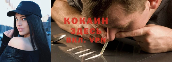 apvp Лагань