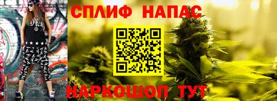 Альфа ПВП Кингисепп